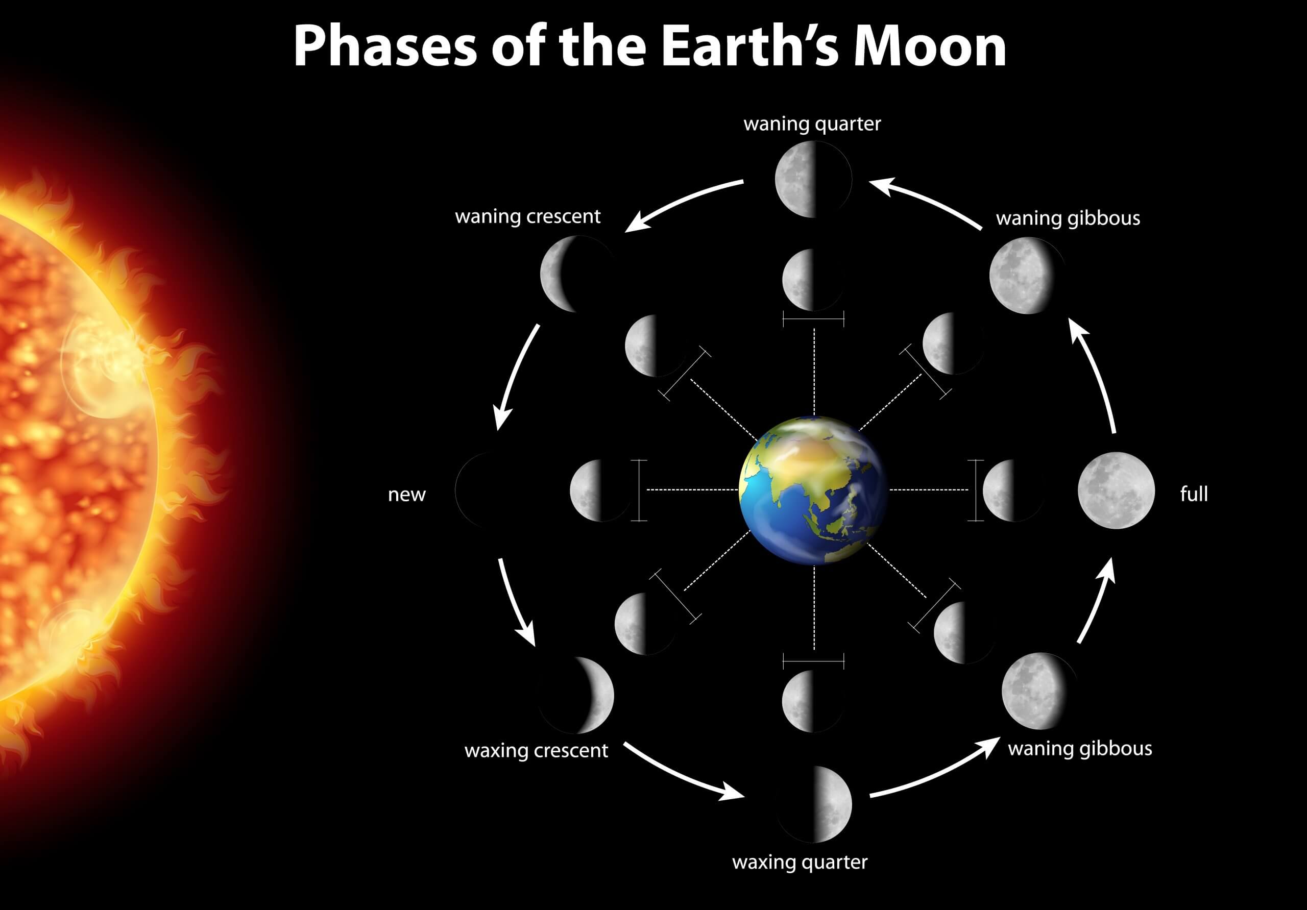 schéma de la rotation de la lune par rapport au soleil et à la Terre